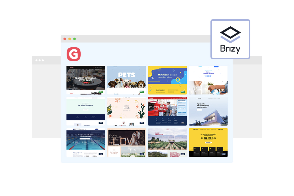 Best Brizy WordPress starter sites