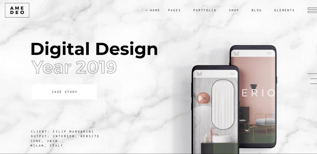 Amedeo - Multi-concept Creative Agency Theme