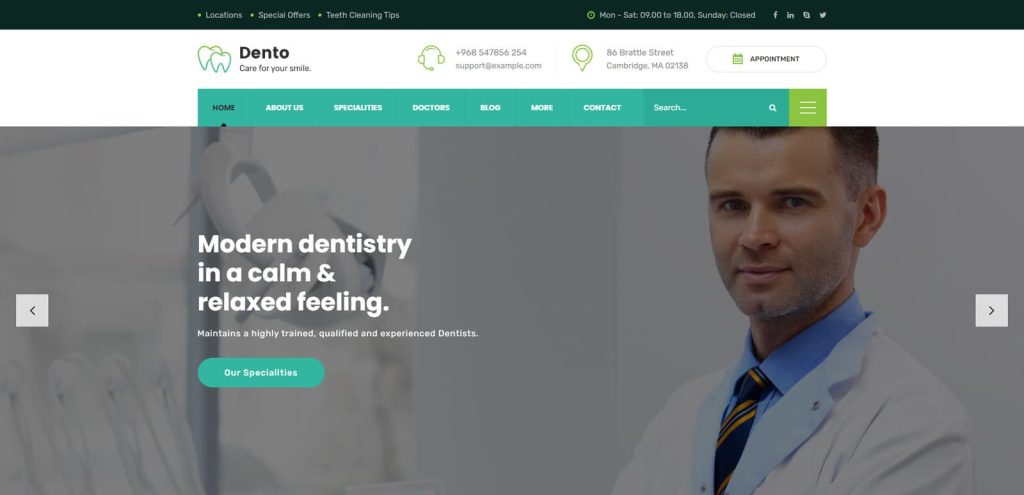 Illustration of Dento, one of the adaptable dentist WordPress themes with 6 dental specialty pages.