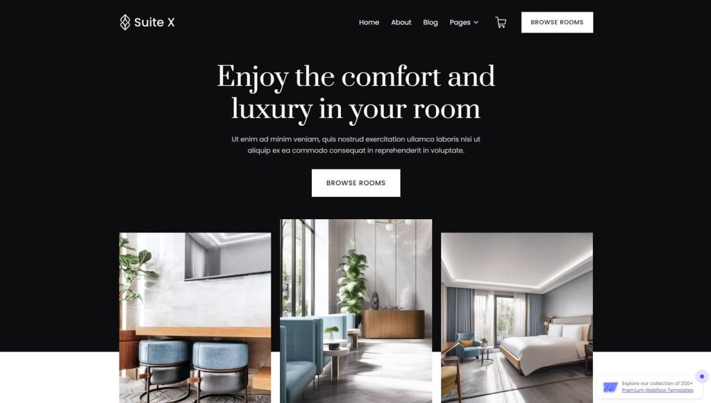 Illustration of Suite X, a notable resort website template for Squarespace with over 85 sections.