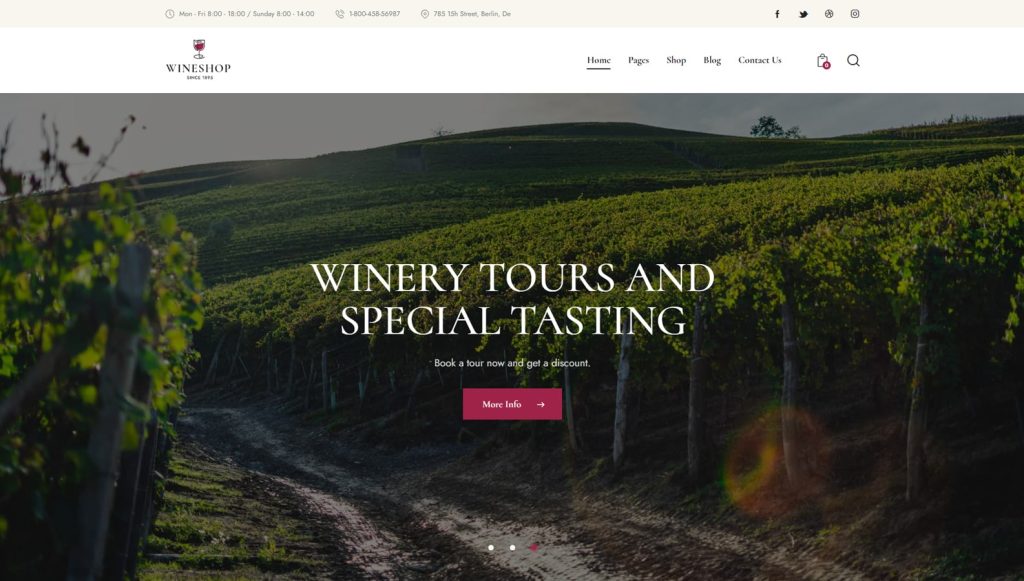 Picture of WineShop, one of the popular WordPress themes for grocery store with advanced blog settings & layouts.