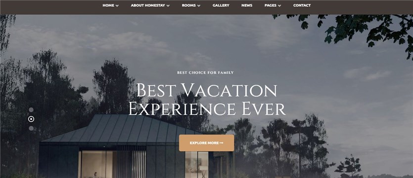 Screenshot of the Ami Stay Elementor hotel website template.