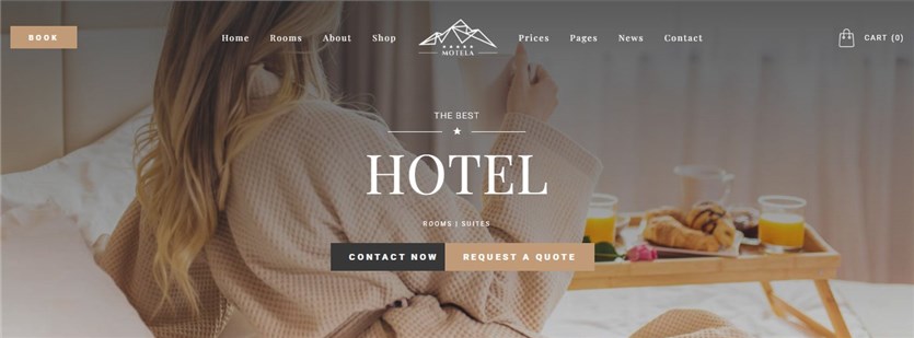 Screenshot of the Motela WordPress theme demo page.